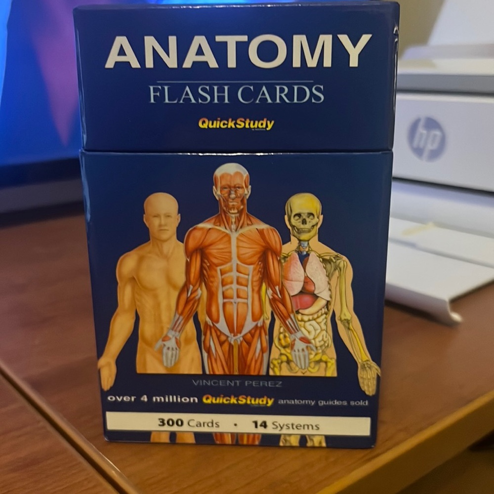 anatomy flash cards